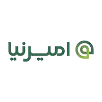 امیرنیا